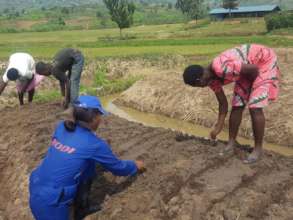 Demonstration plots of Vegetables