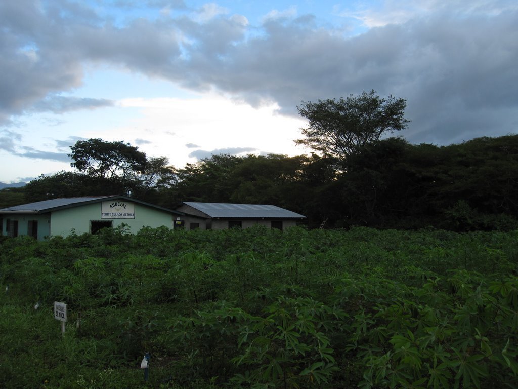 Youth Education and Food Sovereignty in Honduras