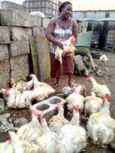 Restore Livelihoods of 360 Rural Farmers in Ogoni