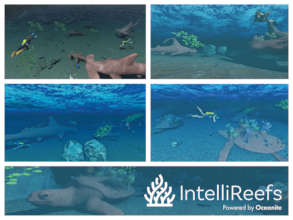 ART Dive Reefs we are designing for Islands