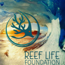Reef Life Foundation Future of Ocean Health