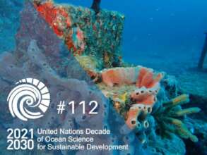 United Nations Endorses IntelliReefs Coral