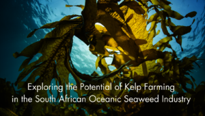 Seaweed Markets Building Traction and Profitably