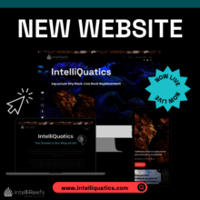 IntelliQuatics NEW WEBSITE!!