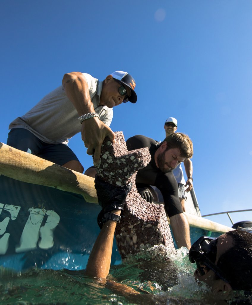 Rebuild Coral Reefs With Nanoscience