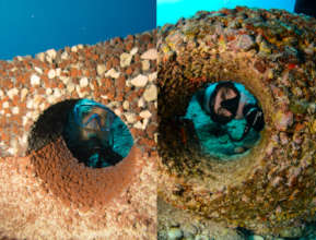 Before & After 14 Months in the Water