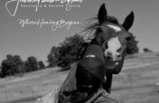 Where Healing Begins For Humans and Horses