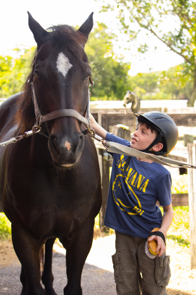 Equine Therapy for 20 Children with Special Needs