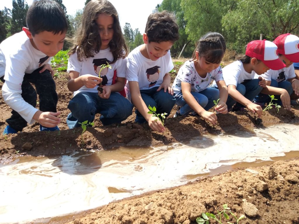 Help build 50 family gardens in rural Mexico