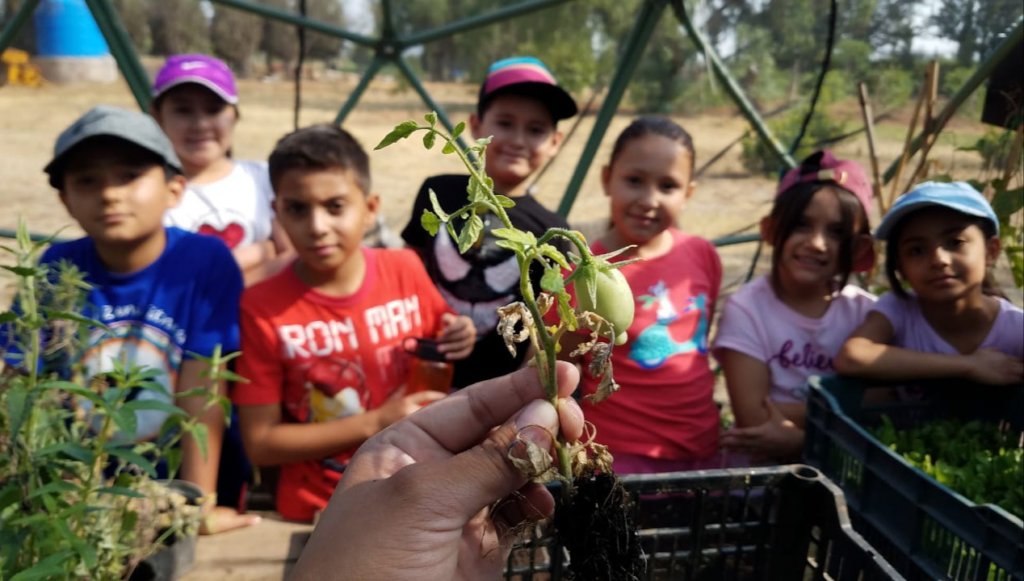 Help build 50 family gardens in rural Mexico