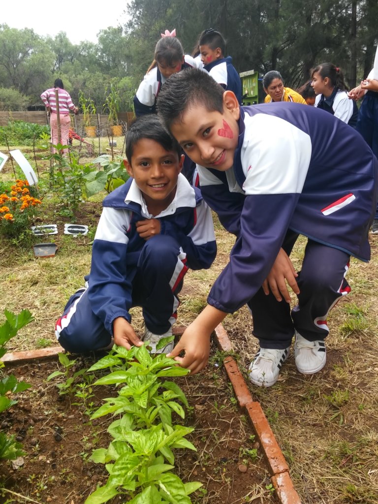 Help build 50 family gardens in rural Mexico