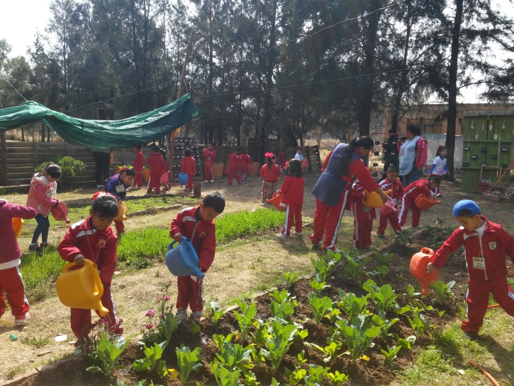 Help build 50 family gardens in rural Mexico