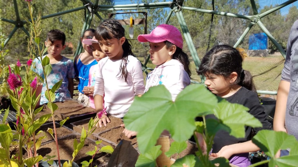 Help build 50 family gardens in rural Mexico