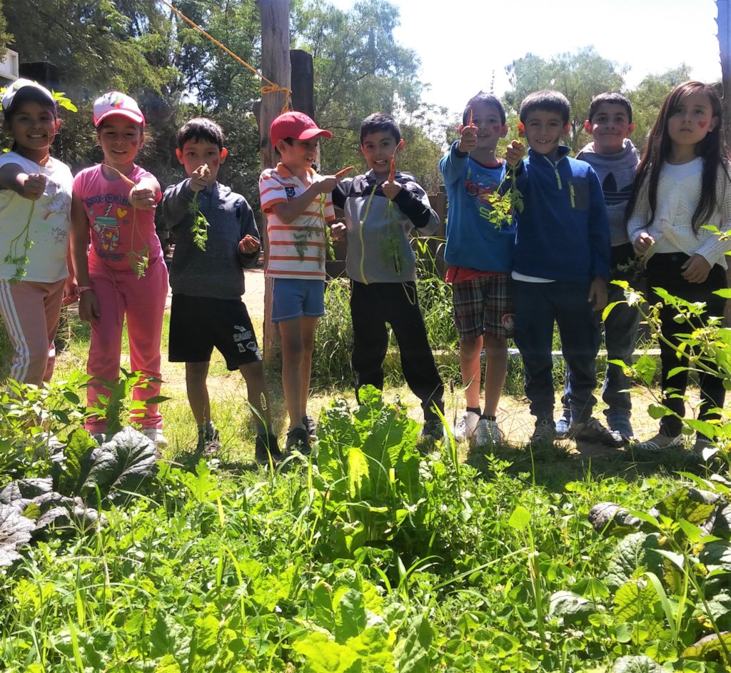 Help build 50 family gardens in rural Mexico