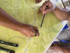 Forest monitors outline areas under threat