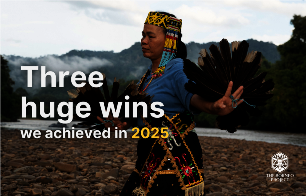 Support Indigenous forest protection in Borneo