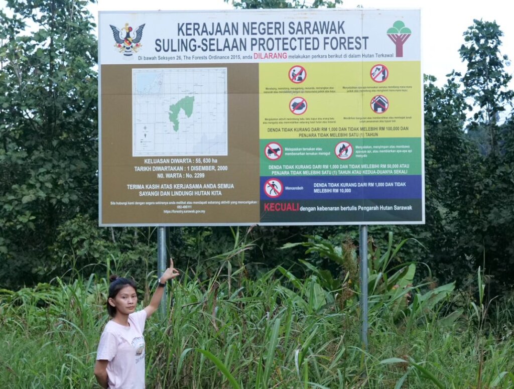 Support Indigenous forest protection in Borneo