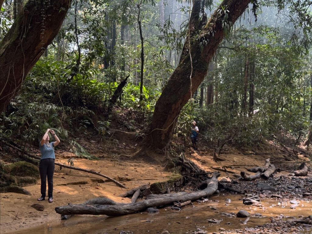 Support Indigenous forest protection in Borneo