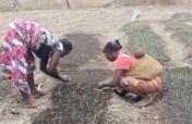 Help 500 farmers amidst Covid19 in Sierra Leone