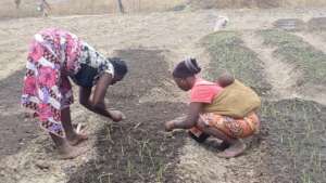 Help 500 farmers amidst Covid19 in Sierra Leone