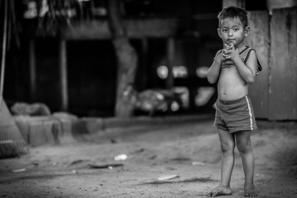 Covid 19 Food Support Program
