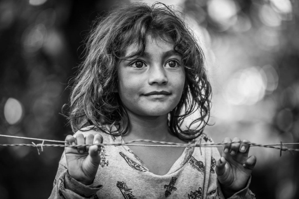 Covid 19 Food Support Program