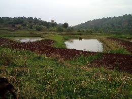 Climate change, COVID19 Emrgency in DRC UVIRA FIZI