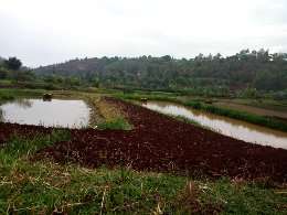 reserve water for watering