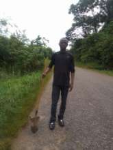 the young engament for the envoronnement