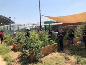 Students of the School For All in the urban garden