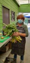 Chard from the Urban Garden