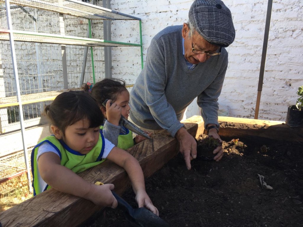 Help 350 families grow food to overcome COVID-19