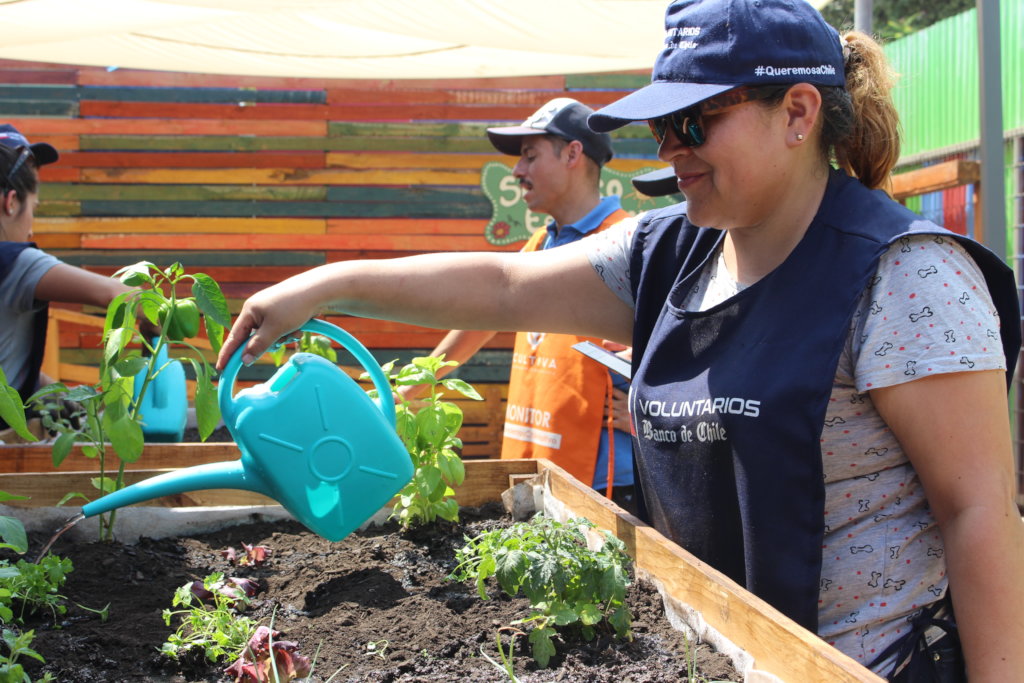 Help 350 families grow food to overcome COVID-19