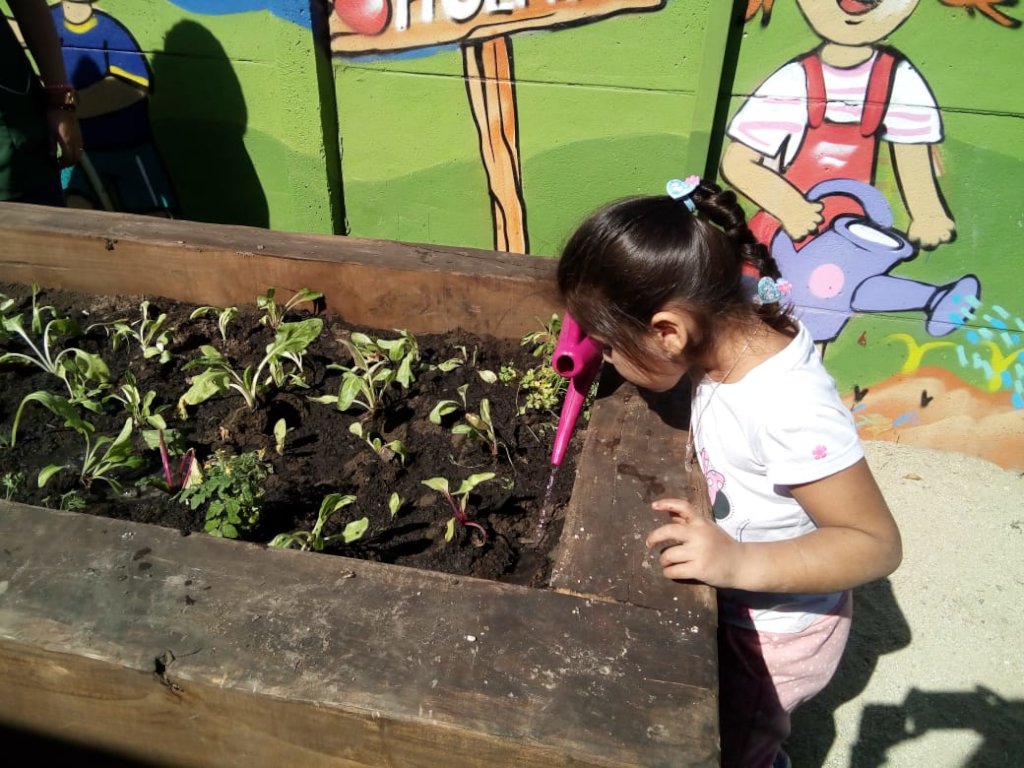 Help 350 families grow food to overcome COVID-19