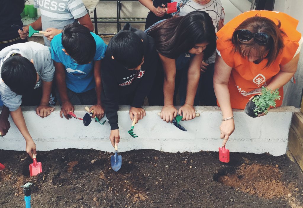 Help 350 families grow food to overcome COVID-19