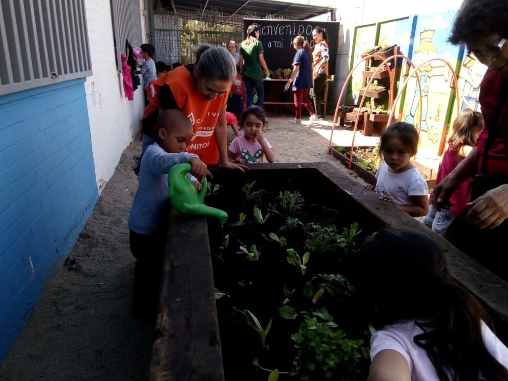 Help 350 families grow food to overcome COVID-19