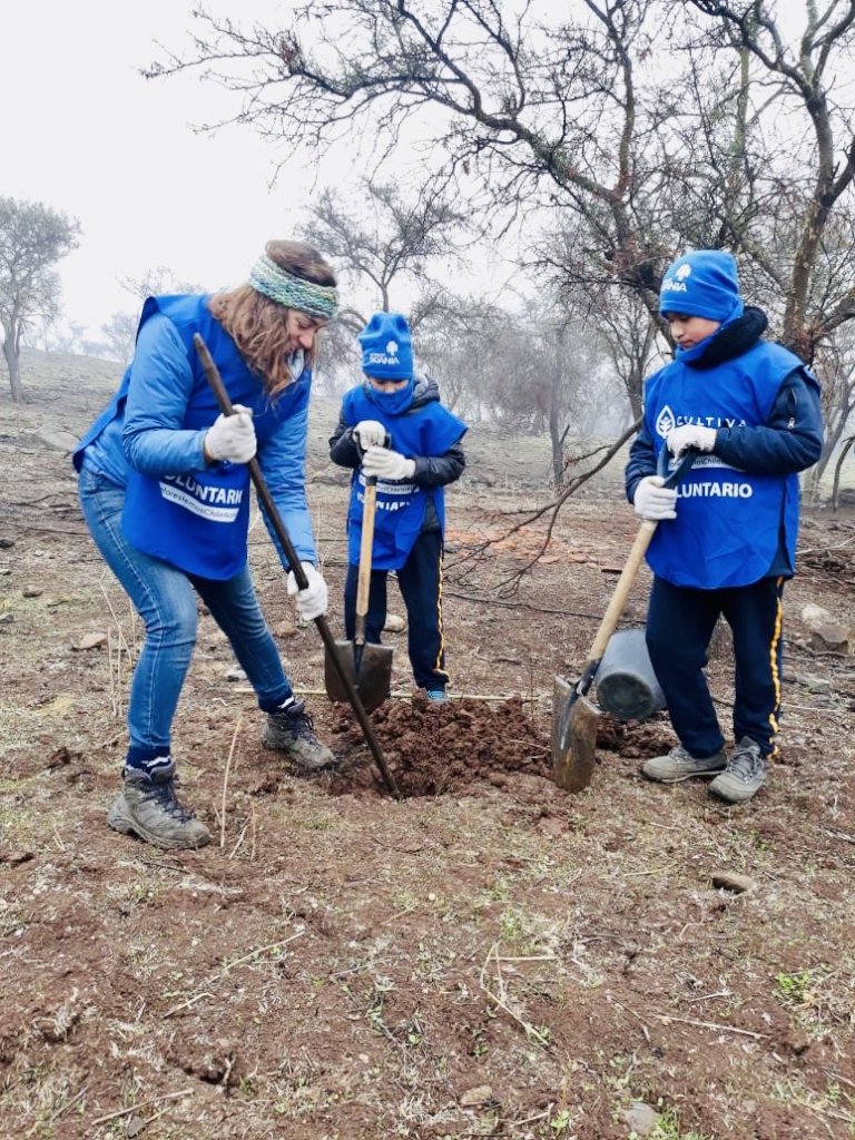 Help 350 families grow food to overcome COVID-19