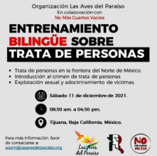 Entrenamiento bilingue