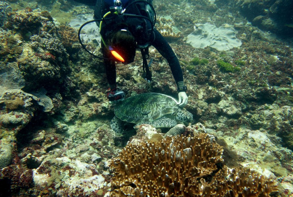 Supporting Women in Science