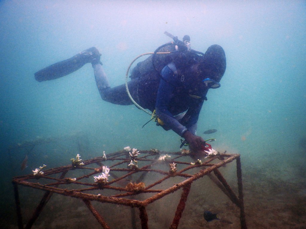 Supporting Women in Science