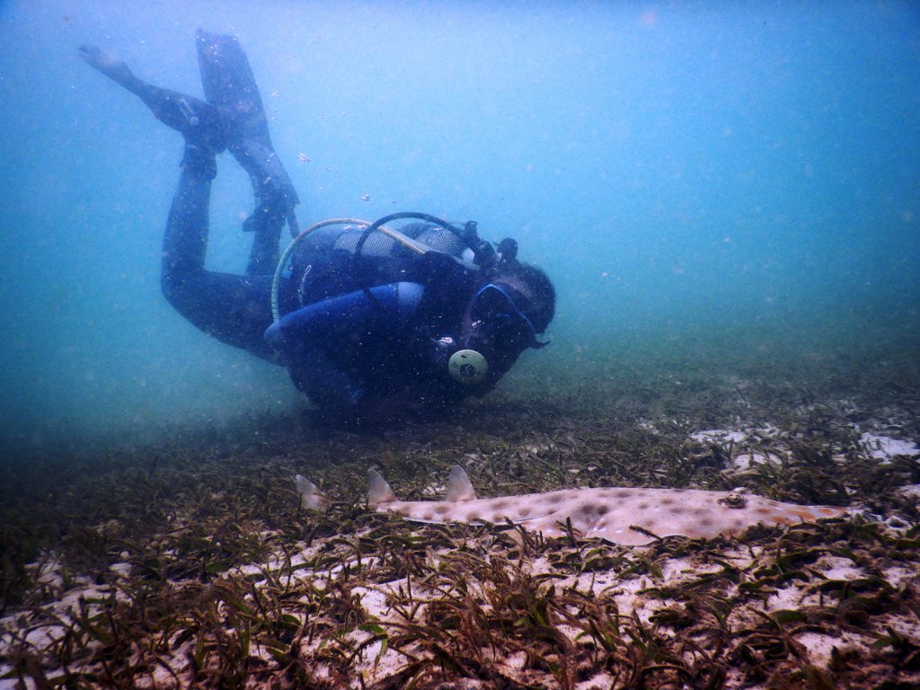 Posing With Some Marine Animals