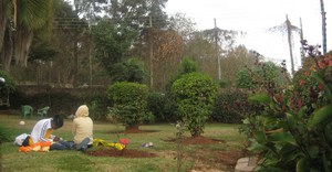 Residents in the Safe House backyard