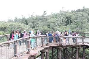 The Heshima girls cross the expansive bridge