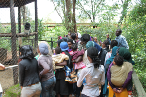 The Safe House residents admiring the monkeys