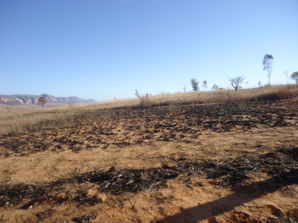 Solar Lamps for Isalo Community Members