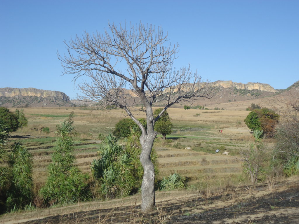 Solar Lamps for Isalo Community Members