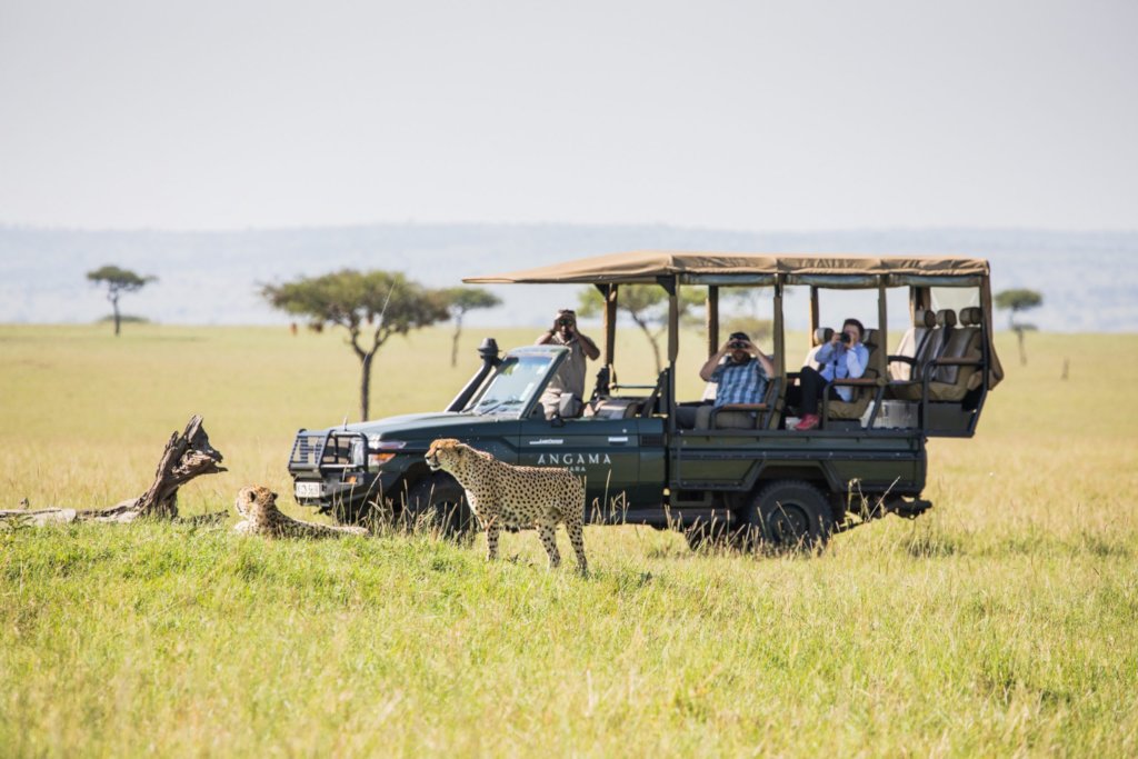 Global Conservation in Tourism Dependent Regions