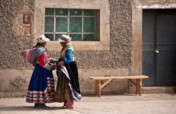 Global Conservation in Tourism Dependent Regions