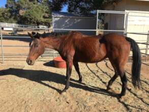 Tootsie Roll when she arrived in October