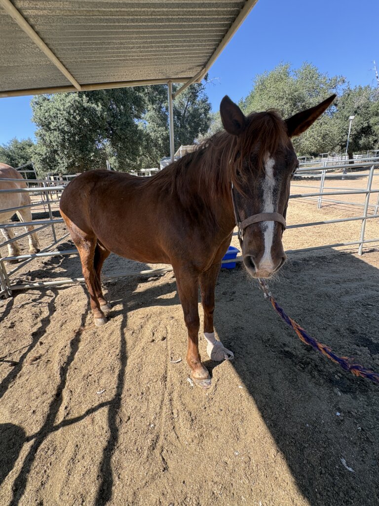 Maribel after her most recent trim